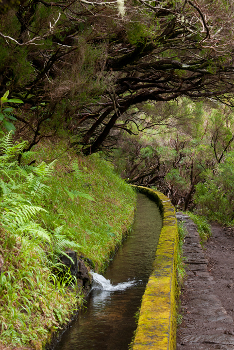 433_Madera_Levada das 25 Fontes.jpg